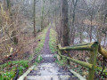 Naturdenkmal Sievertsche Tongrube & Susebek