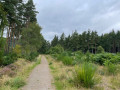 Single gravel path