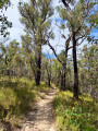 Single track