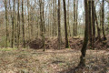 Site archéologique