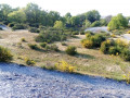 Site ardoisier du Petit Pré