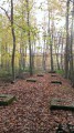 Site de V1 à Houppeville