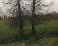 Site du départ (Croix de la Mission)