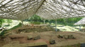Site Gallo-Romain