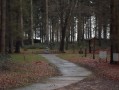 À l'orée de la Forêt d'Eawy à Ardouval