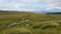 Sittaford Tor view