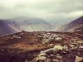 Slieve Binnian - Annalong