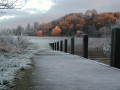 Snowy Riverside