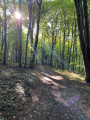 Circuit panoramique de Saulny