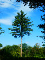 Dans les campagnes et la forêt du Tournibus