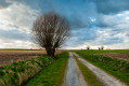 Boucle dans le piémont du Pays des Collines