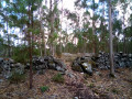 Sommet de la Serra do Pinheiro (465m)