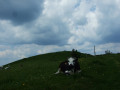 Le Drumont depuis le Col d'Oderen