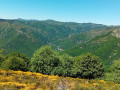 Sommet du suc de Chalambelle