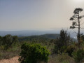 Sommet mont Aigre 2