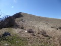 Miélandre du Col d'Espréaux