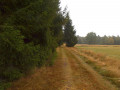 Soonwaldsteig 3. Etappe - Koppenstein - Schanzerkopf