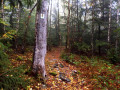 Soonwaldsteig 3. Etappe - Koppenstein - Schanzerkopf