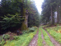 Soonwaldsteig 4. Etappe Schanzerkopf - Jägerhaus