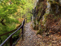 Soonwaldsteig 5. Etappe - Schmaler Pfad