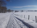Chemin enneigé