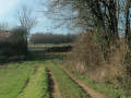 Sortie de bois