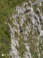 Sortie de l'échappatoire Sortie de l'échappatoire
