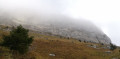 Sortie de la forêt, début du pierrier et vue sur la falaise
