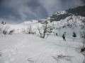 Sortie de la Foret