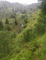 Sortie de la forêt