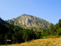 Sortie de la forêt