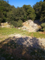 Sortie de sentier vers le chemin