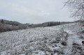 Sortie des arbres