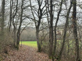Sortie du bois et vue sur un champ