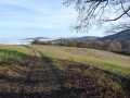 sortie du bois moment de soleil