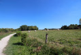 Sortie du bois
