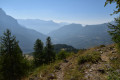 sortie du bois