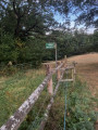 Sortie du paturage