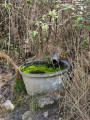 Source d'eau