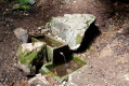 Source de l'Andlau