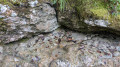 Boucle des dolmens à Miribel-les-Échelles