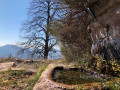 Source de la bergerie