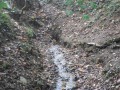 Source de St Fol