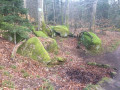 Source des pionniers