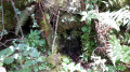 Source des Rancs de Charles sur la route de Béguère