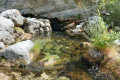 Source du Coulomp