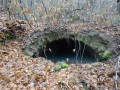 Source du ruisseau des Terrisses