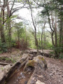 Source du vallon du Cros Source du vallon du Cros