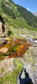 Les sources ferrugineuses de la Vallée de Moudang