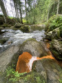 Source Ferrugineuse de Fontfort